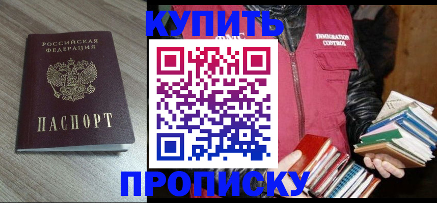 прописка 2025 в Вязьме